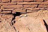 Wupatki National Monument Arizona 2021